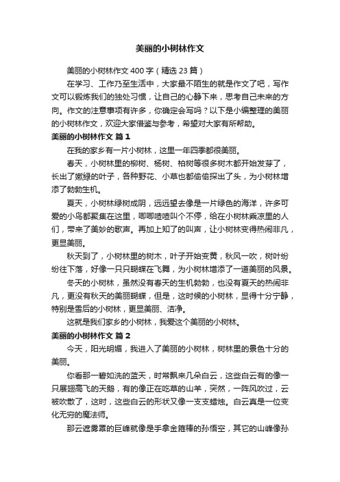 美丽的小树林作文400字（精选23篇）