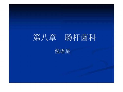 《肠杆菌科的细菌》PPT课件