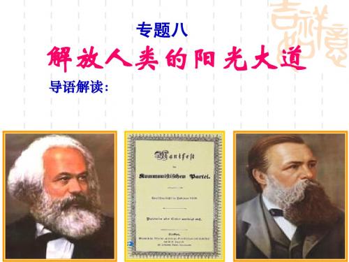 解放人类的阳光大道