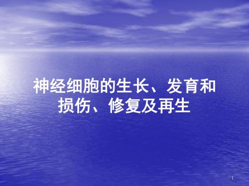 神经发育及可塑性ppt课件