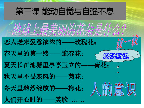 中职哲学与人生 第三课 课件