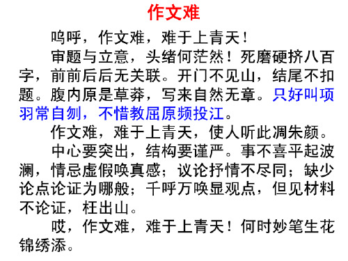 第一次议论文作文