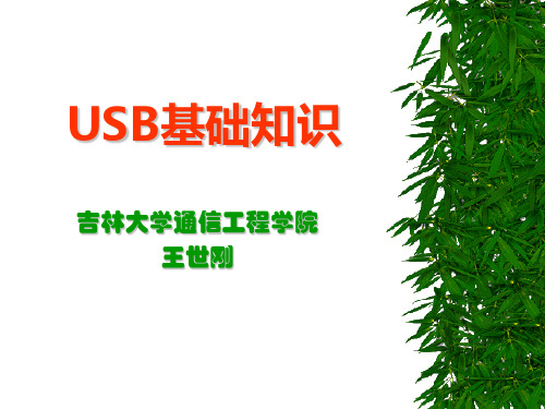 USB基础知识.ppt