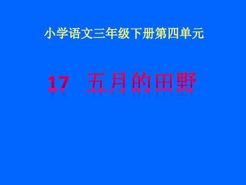 冀教版三年级语文下册《四单元  17. 五月的田野》公开课课件_4