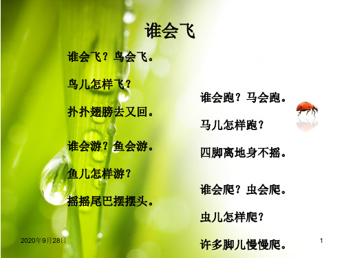 儿童诗《谁会飞》PPT课件