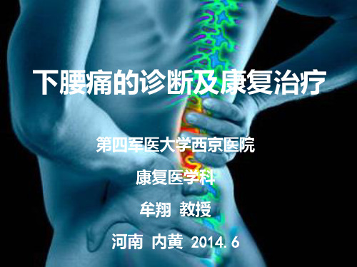 下腰痛的诊断及康复治疗PPT课件