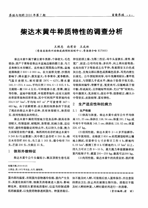 柴达木黄牛种质特性的调查分析