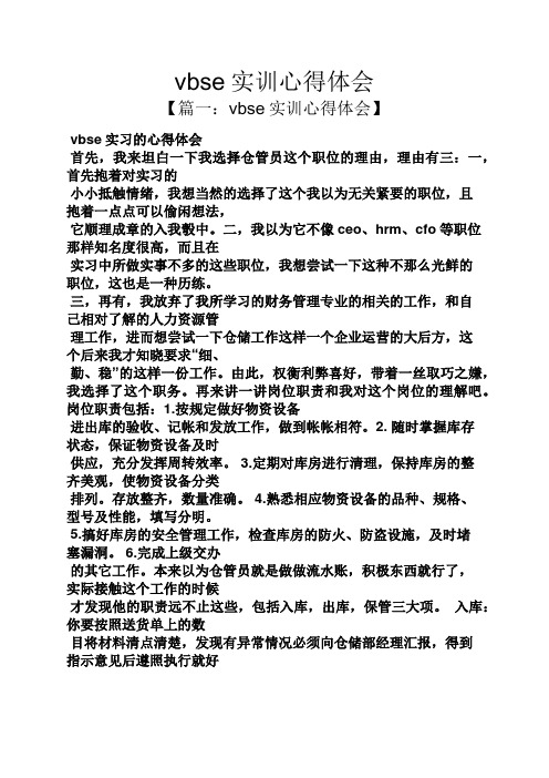 vbse实训心得体会