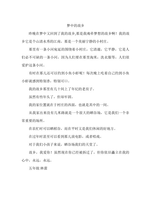 梦中的故乡-作文
