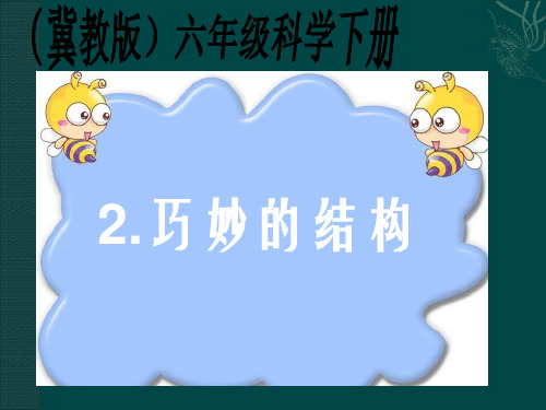六年级下科学优秀课件-2 巧妙的结构   ｜冀教版 (29页PPT)
