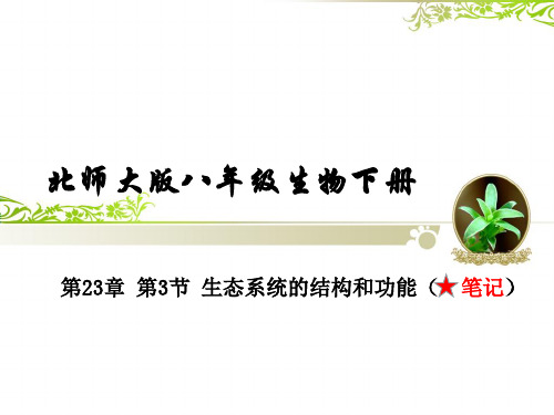 第23章 第3节 生态系统的结构和功能(笔记)