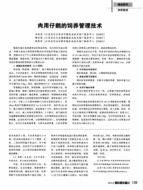 肉用仔鹅的饲养管理技术
