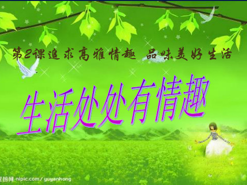 《生活处处有情趣》PPT课件