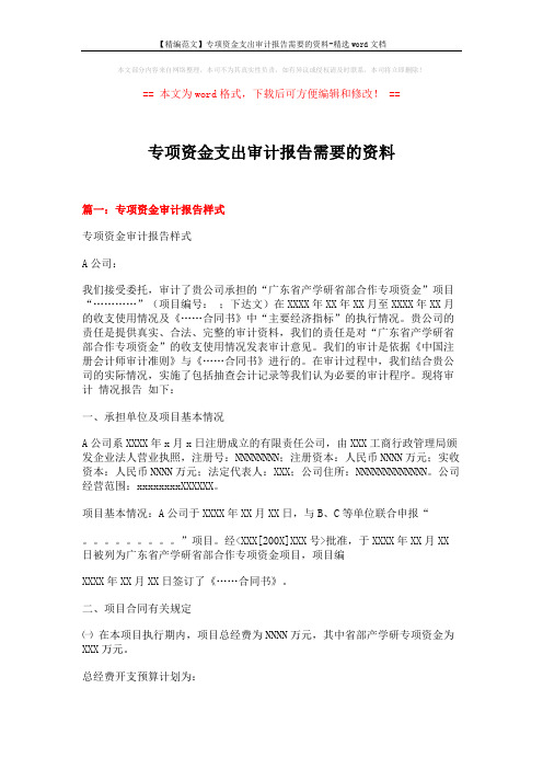 【精编范文】专项资金支出审计报告需要的资料-精选word文档 (7页)