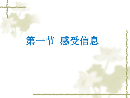 《感受信息》课件