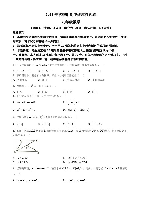 广西壮族自治区玉林市北流市2024-2025学年九年级上学期11月期中数学试题(含答案)