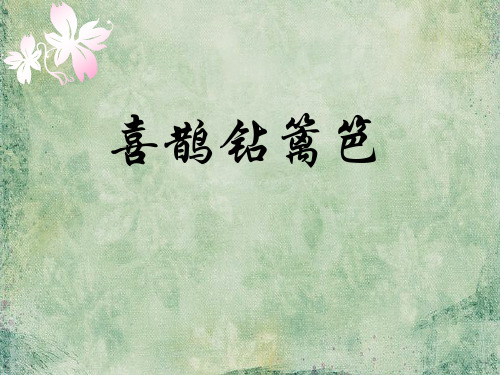 《喜鹊钻篱笆》 精选优质课件