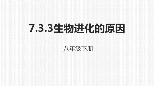 人教生物八年级下册7.3.3生物进化的原因课件 (共16张PPT)
