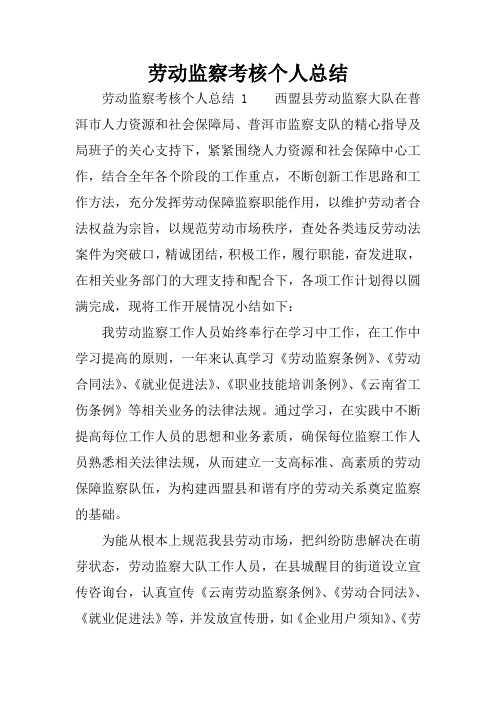 劳动监察考核个人总结
