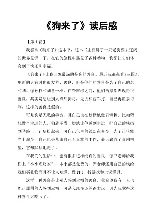 《狗来了》读后感