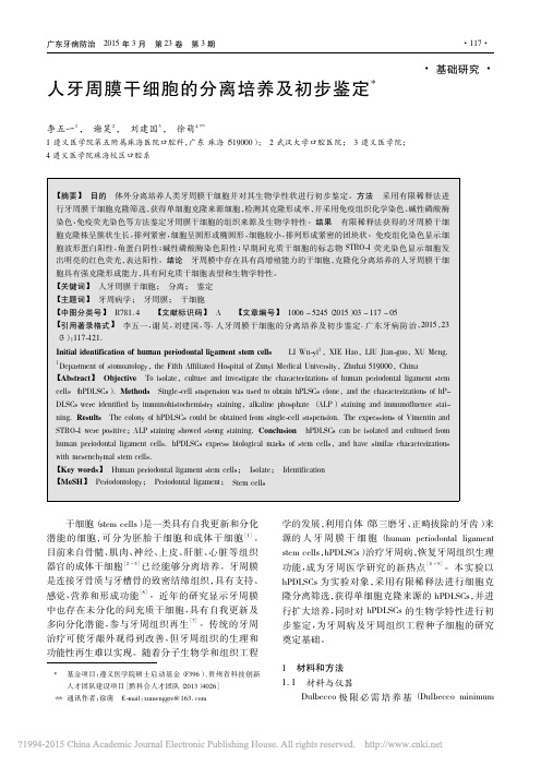 人牙周膜干细胞的分离培养及初步鉴定