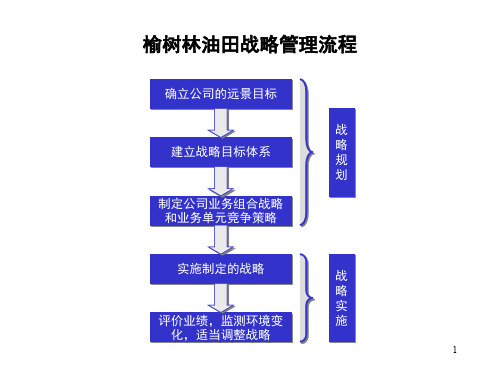 某公司战略规划报告ppt课件