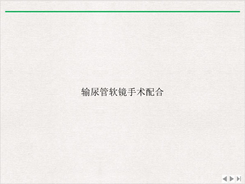 输尿管软镜手术配合ppt实用版