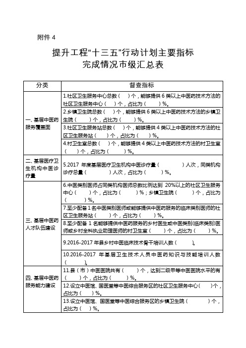 提升工程十三五行动计划主要指标完成情况级汇总表