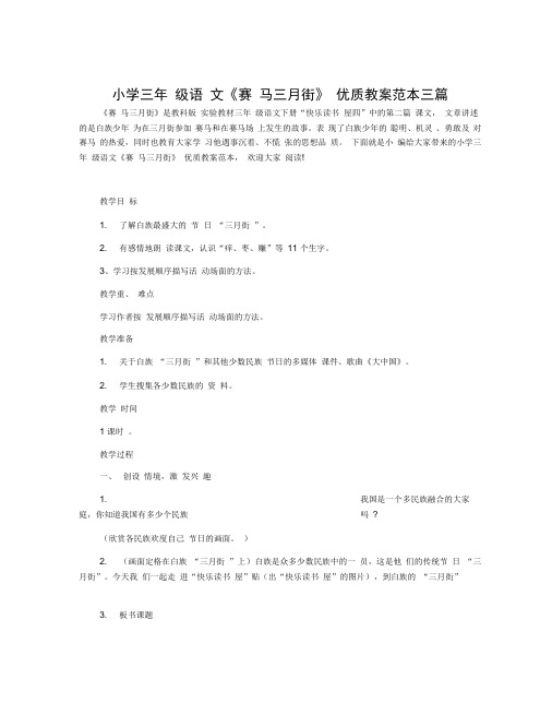 小学三年级语文《赛马三月街》优质教案范本三篇