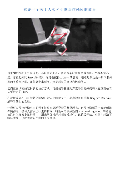 这是一个关于人类和小鼠治疗瘫痪的故事
