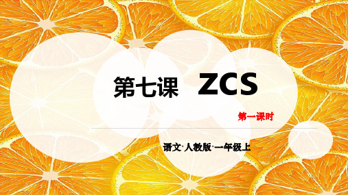 《zcs》PPT课件部编版1