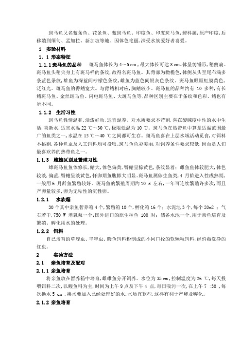 斑马鱼的养殖