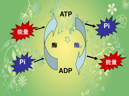 呼吸作用PPT教学课件(1)