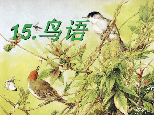 15鸟语1-精品课件