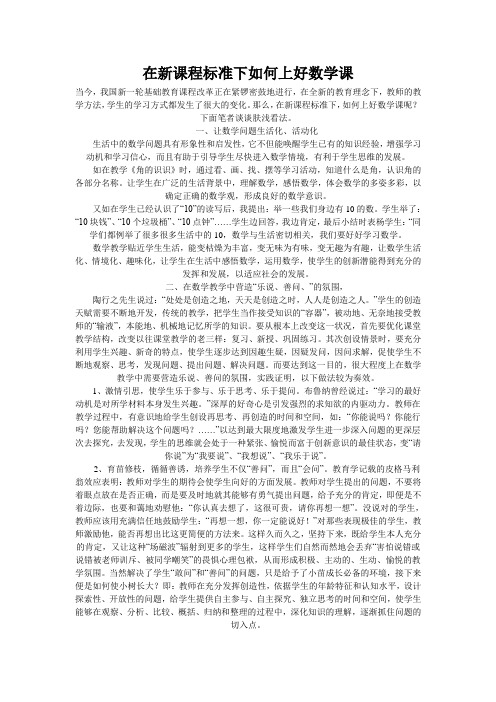 在新课程标准下如何上好数学课