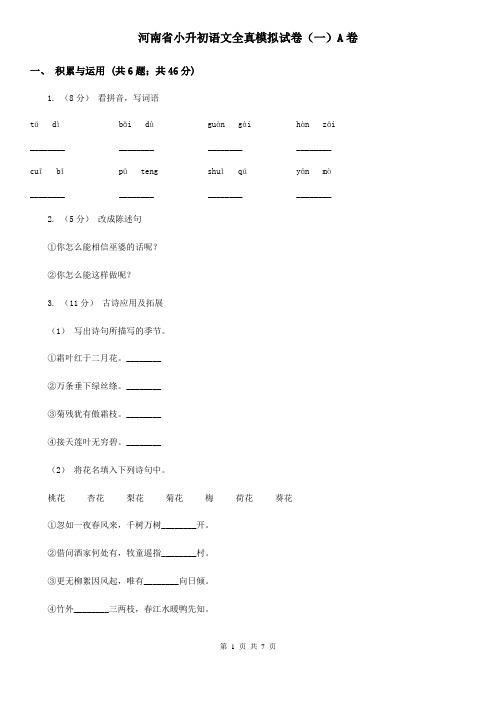 河南省小升初语文全真模拟试卷(一)A卷