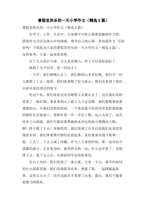 暑假里快乐的一天小学作文(5篇)