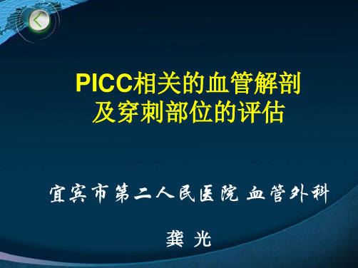 PICC相关的血管解剖及穿刺部位的评估