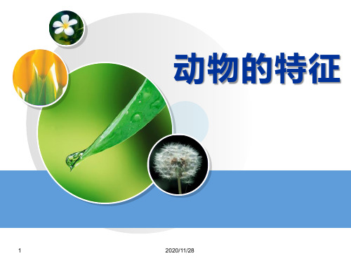 湘教版四年级上册科学《动物的特征》多种多样的动物精品PPT教学课件