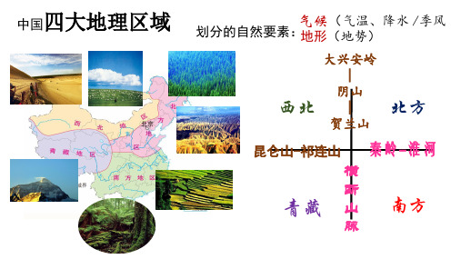 人教版历史与社会七年级下册  6.1 红松之乡 (共11张PPT)