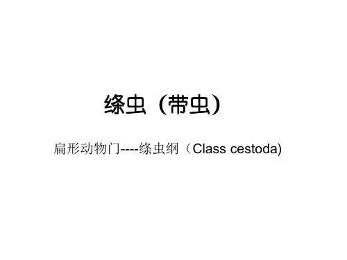 医学寄生虫学5-绦虫