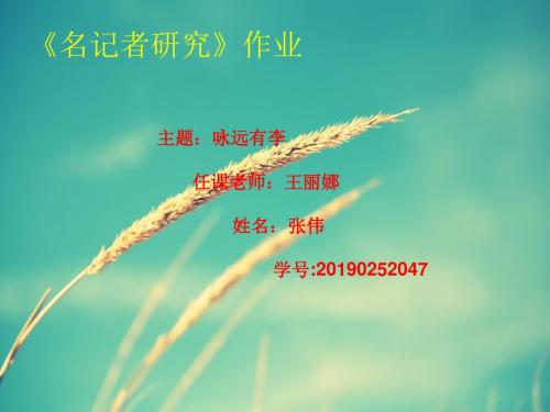 《名记者研究》作业-文档资料