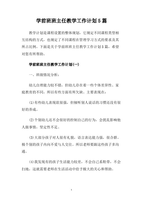 学前班班主任教学工作计划5篇.doc