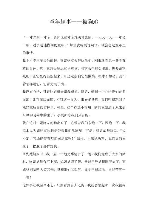 六年级叙事童年趣事——被狗追