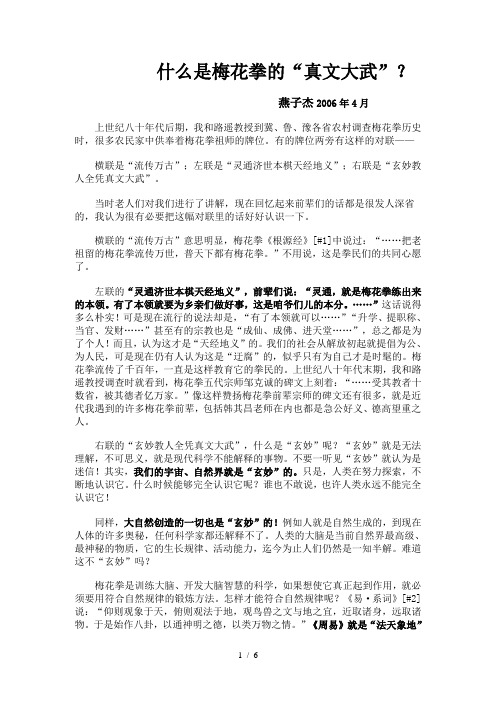 什么是梅花拳的“真文大武”