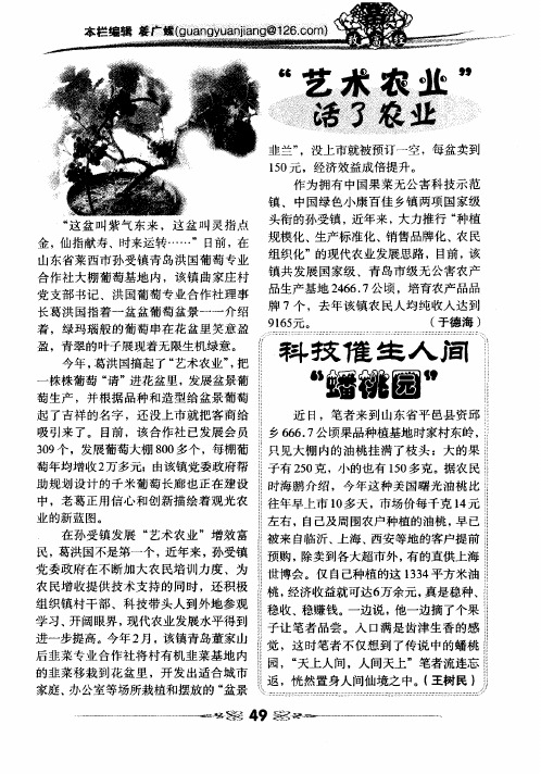 “艺术农业”活了农业