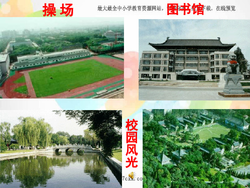 鲁教小学语文六下《十三岁的际遇》ppt课件