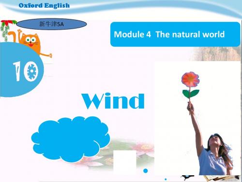 五年级英语上册Unit10Wind课件牛津上海版