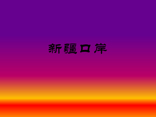 新疆口岸