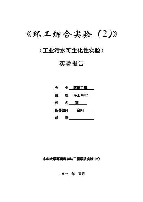 污水可生化性实验--syy